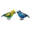 Picture of Primus Small Metal Budgies