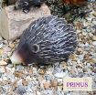 Picture of Primus Deluxe Metal Hedgehog